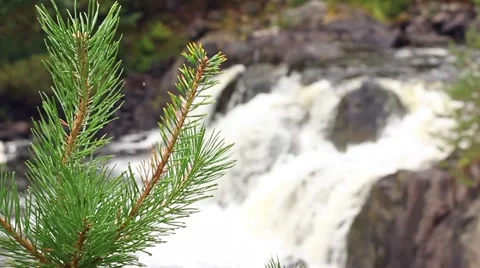 Transfer the focus from pine to waterfall Видео 41663206