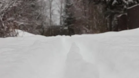 Transfer focus from the ski track to the background snowy forest, it snows Video stock 59306137
