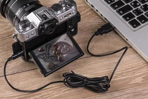 Transfer photos from camera to computer via cable. Stock Photos