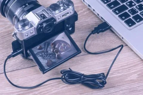Transfer photos from camera to computer via cable. Stock Photos