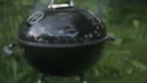 Transfer with a plate of grilled vegetables Stock Footage 201021469