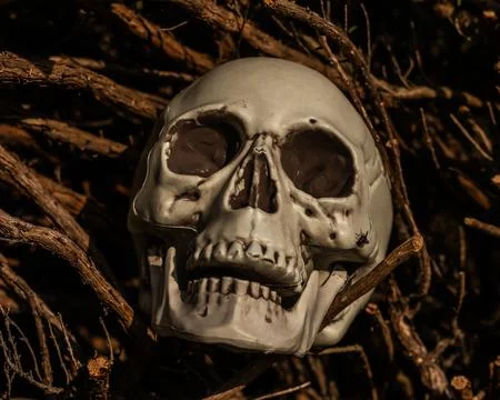Transform your backyard into a spine-tingling Halloween spectacle with this.. Stock Photos