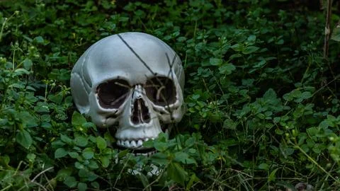 Transform your backyard into a spine-tingling Halloween spectacle with this.. Foto stock