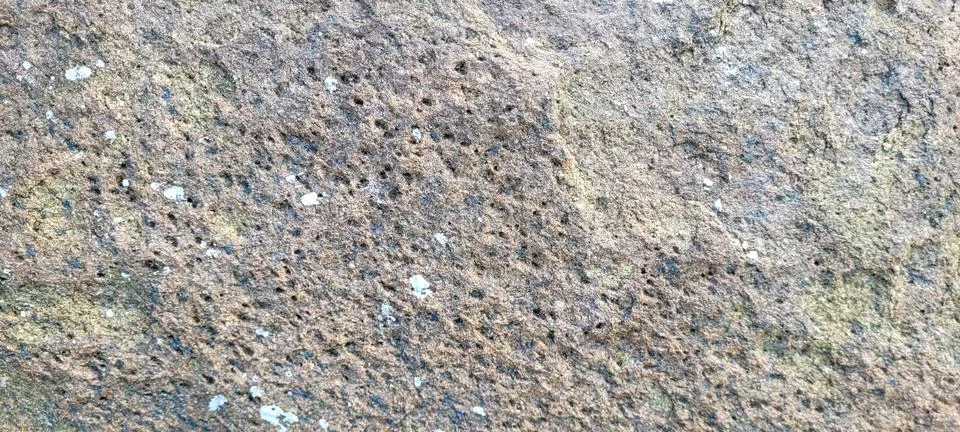 "Transform your projects with the elegance of textured dark. A sophisticate.. Stock Photos