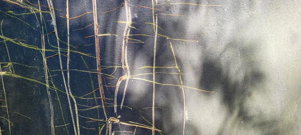 "Transform your projects with the elegance of textured dark. A sophisticate.. Foto stock