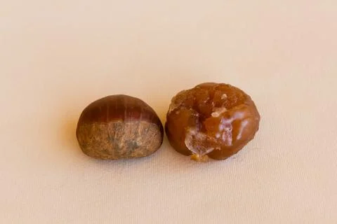 Transformation of a chestnut Stock Photos