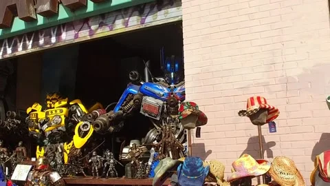 Transformers in Window Shop at Venice Beach Stock Footage 91461565