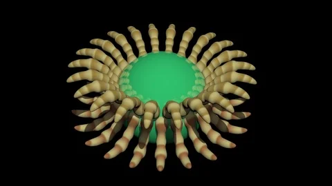 Transforming 3d geometry. Iris , Flower structure opening . Green screen center Stock-Footage 84793283