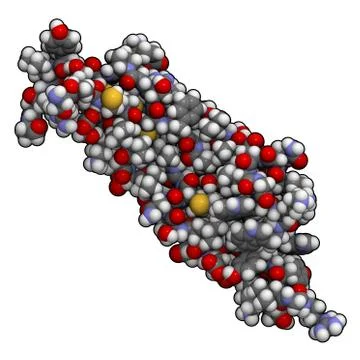 Transforming growth factor beta (tgfb) molecule, chemical structure. Stock Illustration