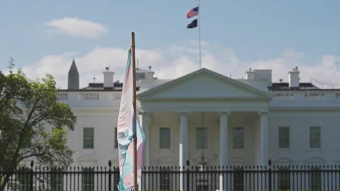 Transgender Pride Flag In Front Of White House Columns Stock Footage 309028391