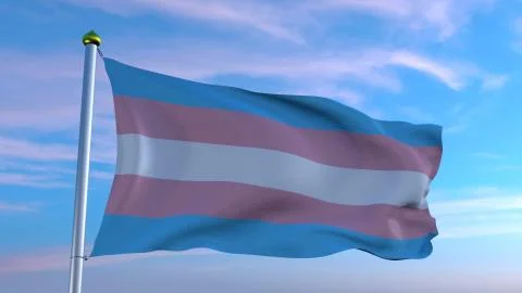 Transgender Pride flag Illustrazione stock