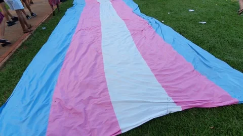 Transgender pride flag over a green grass Stock Footage 300131005