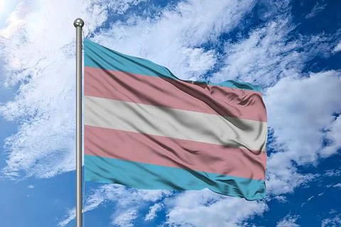 Transgender Pride Flag – Static Image of the Trans Identity Symbol Stock Illustration