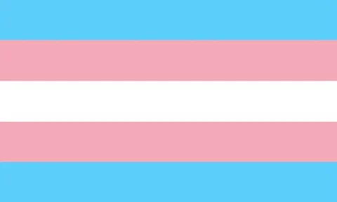 Transgender pride flag. Trans flag. Transgender community flag Illustrazione stock