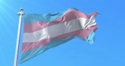 Transgender pride flag waving. Loop Stock Footage 219785520