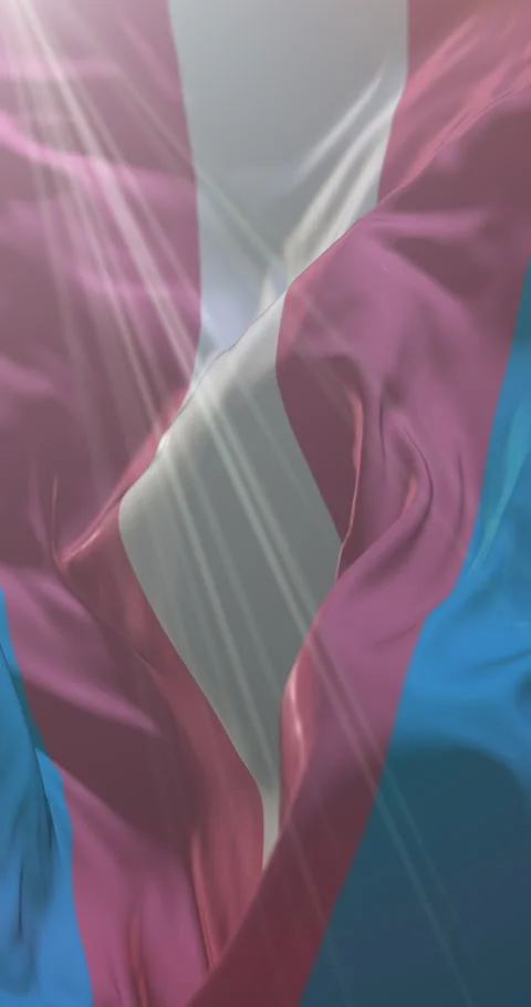 Transgender pride flag waving. Loop. 4K Vertical Stock Footage 306968918