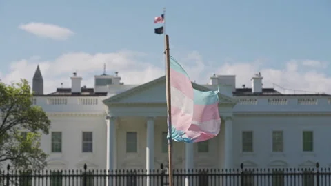 Transgender Pride Flag Waving White House Background Stock Footage 309028366