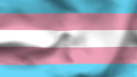 Transgender Pride Flag Wavy Fabric Texture Stock Footage 336182727