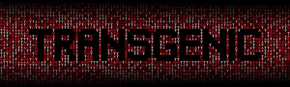 Transgenic text on DNA genetic code background illustration Stock-Illustration