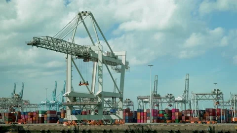 Transhipment crane Stock Footage 131649202