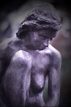 The-Transient Stock Photos