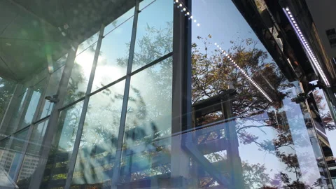 Transit infrastructure seamlessly integrates natural green settings. Modern lift Video stock 323250394