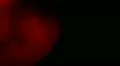 Transit of Venus 2012 21-1 HD Footage