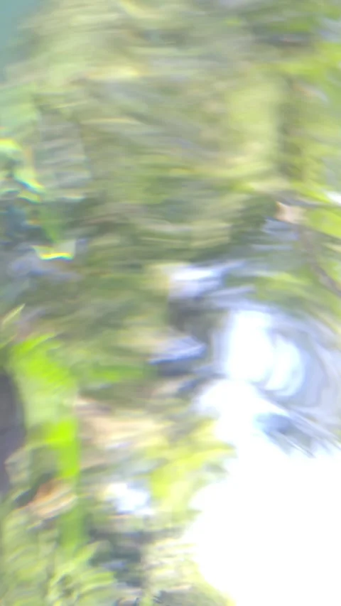 Transition of abstract underwater scenes, looking up through water. Video stock 312898222