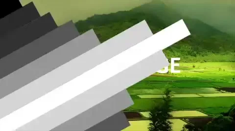 Transition Bars After Effects stock