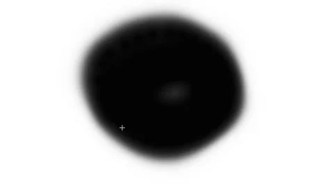 Transition black white gradient bg Stock Footage 343853996