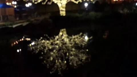Transition from blurred, uncertain B&amp;W image reflected in water to lighted tree Vídeos de archivo 144905956