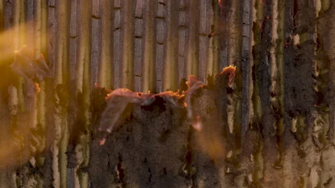 Transition Burning Cardboard Stock Footage 172224681