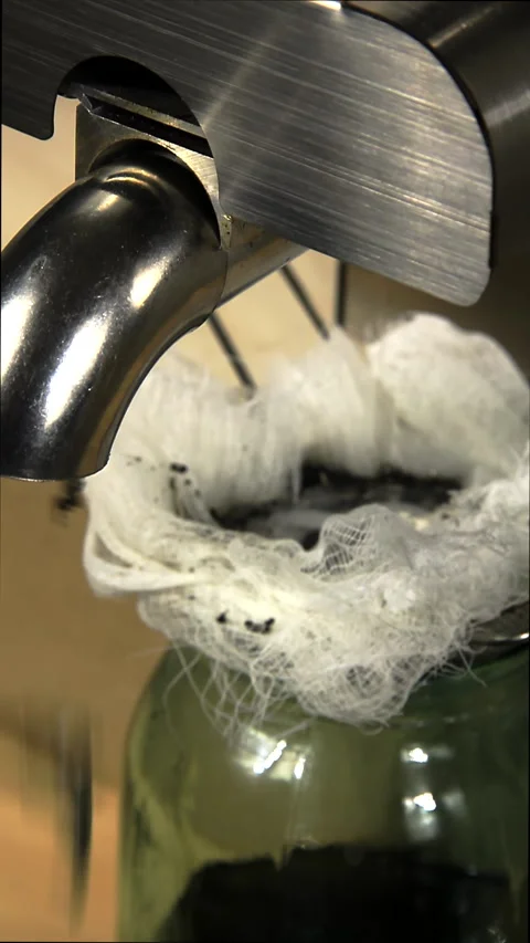 The transition of the camera focus from the oil press extruder to the container. Stock Footage 168889081