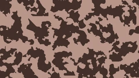 Transition camouflage style pattern texture background Stock Footage 276108694
