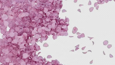 Transition of Cherry Blossom Petals Elegant Sweep Vídeo Stock 332453900