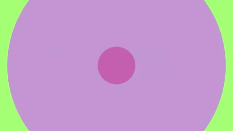 Transition Circle 4K | Animated Infographic Element for Business and Motion.. Stock Footage 307683564