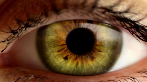 Transition Effect Eye Zoom Retina in 스톡 동영상 281297747