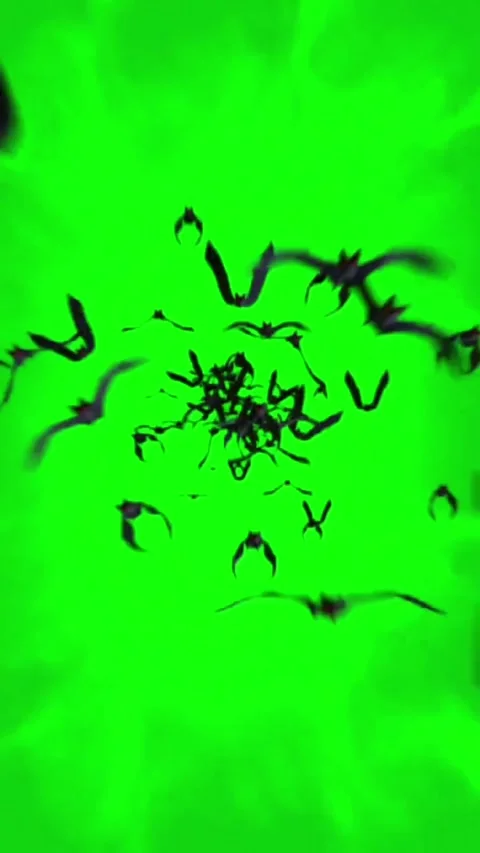 Transition featuring a black bat flying across the screen. Stock Footage 296923696