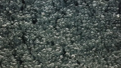 Transition in ice pack Stock Footage 86623453