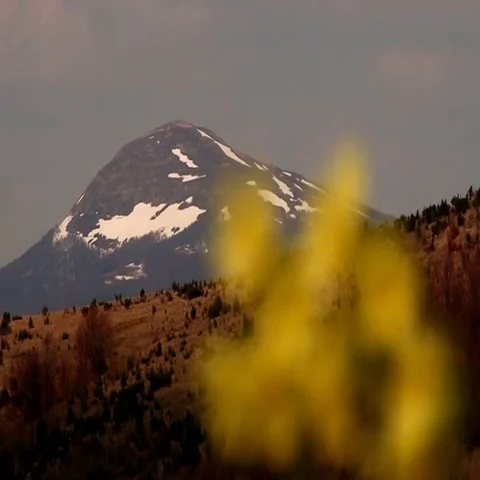 The transition from the mountain flower Stock Footage 69411245