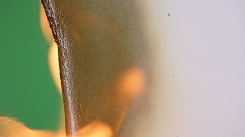Transition Paper Burning Stock Footage 172226341
