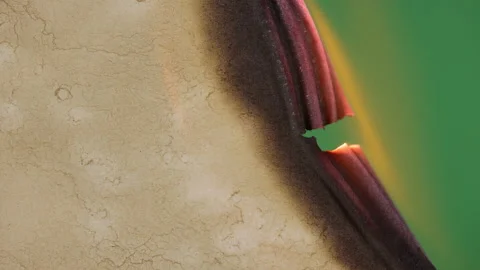 Transition Paper Burning Stock Footage 172375215