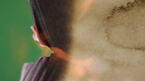 Transition Paper Burning Stock Footage 172376835