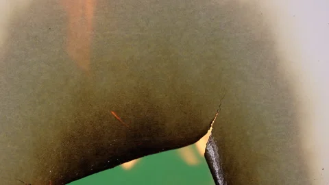 Transition Paper Burning Stock Footage 172377665