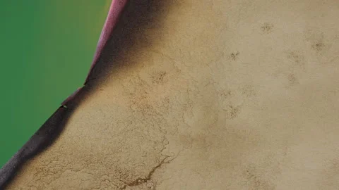 Transition Paper Burning Stock Footage 172422011