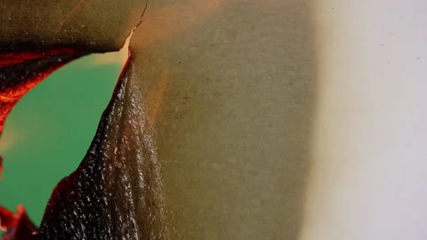 Transition Paper Burning Stock Footage 172422604