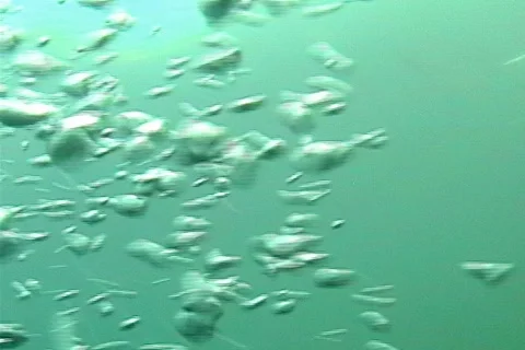 Transition Shot Bubbles Underwater To Surface Glassy Water Stock Footage 141106
