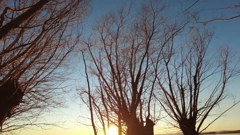 Transition from the sky to the lake with the sun filtering through the branches Stock Footage 219137972