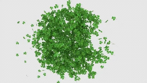 Transition St.Patricks Shamrock on Alpha Stock Footage 263939692