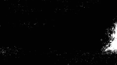 Transition white black bg Stock Footage 318438424